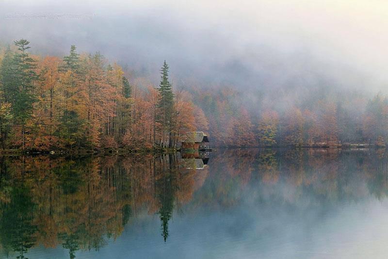 shogun-nature-9277957_1280.jpg